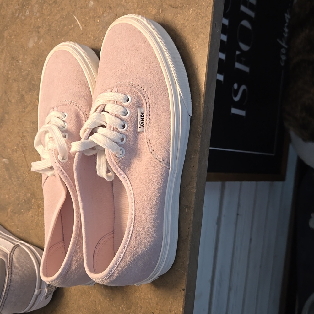 VAN AUTHENTIC suede shoes